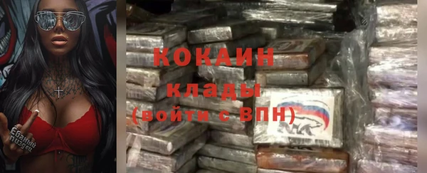 ALPHA PVP Остров