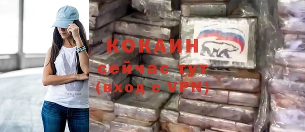 шишки Бежецк