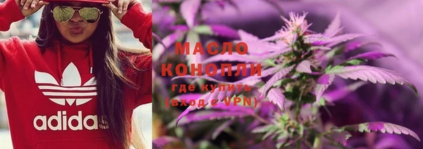 сатива Осташков