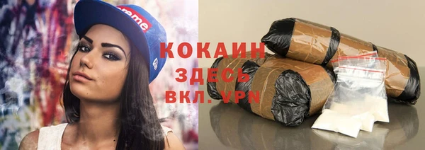 сатива Осташков