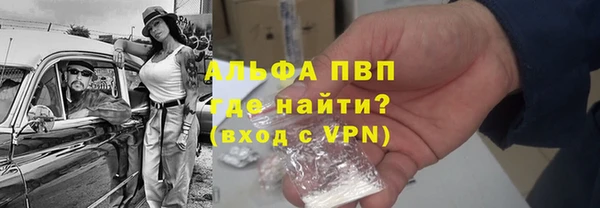 сатива Осташков
