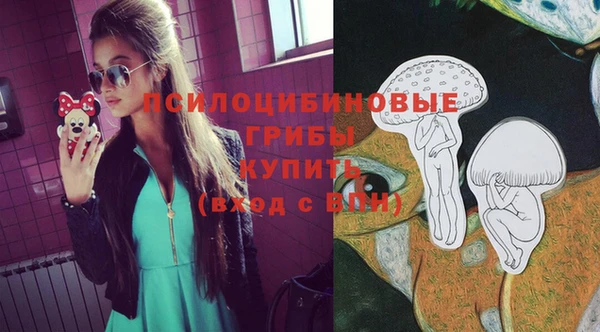 сатива Осташков
