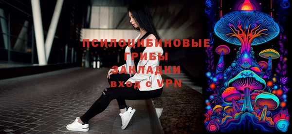 сатива Осташков