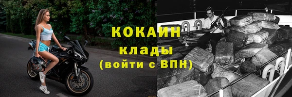 сатива Осташков
