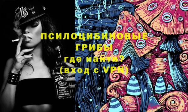 герыч Няндома
