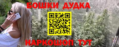 прущие крисы Жуковский
