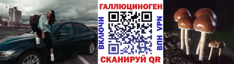 Псилоцибиновые грибы мухоморы  Калач-на-Дону 