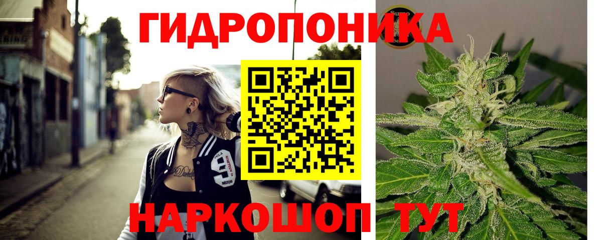 Бошки марихуана семена  Вход с VPN  Калач-на-Дону  Канабис планчик  Марихуана индика  Канабис SATIVA & INDICA 
